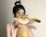 当封号成为生意，快手段位背后的黑暗产业链，专门封别人快手号